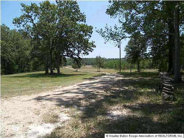 22334 Chaney Road Zachary, LA 70791 - Photo 3 of 5 Gallery Image 3