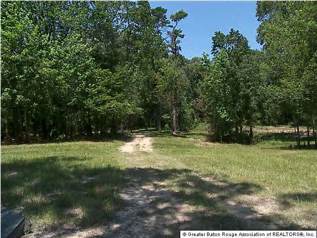 22334 Chaney Road Zachary, LA 70791 - Photo 4 of 5 Gallery Image 4