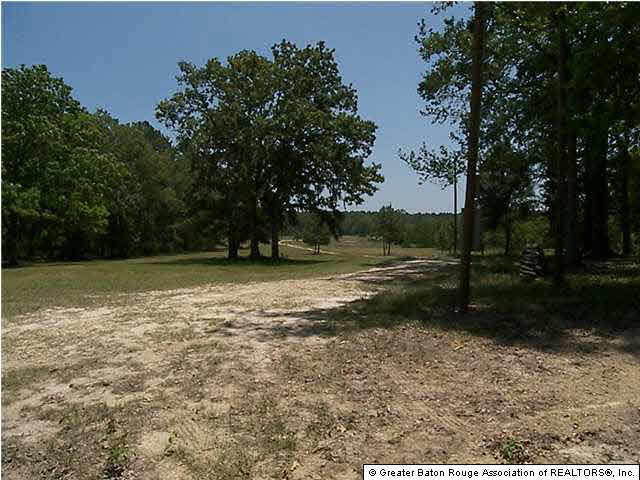22334 Chaney Road Zachary, LA 70791 - Photo 5 of 5 Gallery Image 5