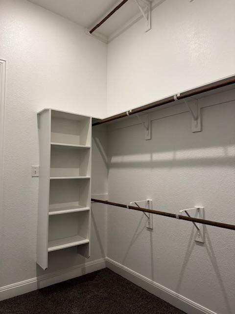 1432 Ridge Runner Drive Georgetown, TX 78628 - Photo 18 of 27 Walk in closet with shoe rack with dark colored carpet