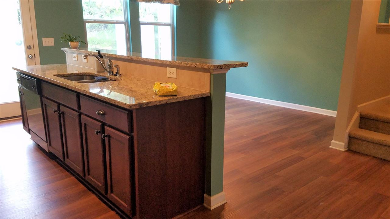 412 Leighann Ridge Lane Rolesville, NC 27571 - Photo 8 of 24 Kitchen Sink_Dishwasher