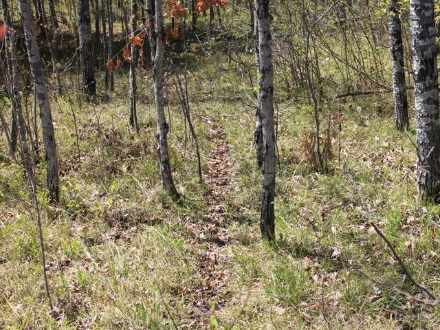 19081 Erickson Drive Dunbar, WI 54119 - Photo 55 of 87