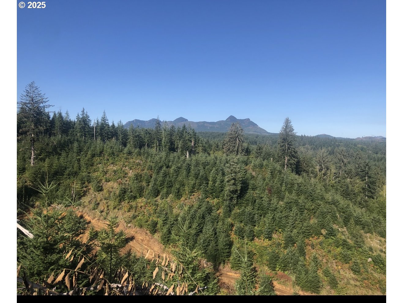 80788 Hamlet Road Seaside, OR 97138 - Photo 8 of 18 View