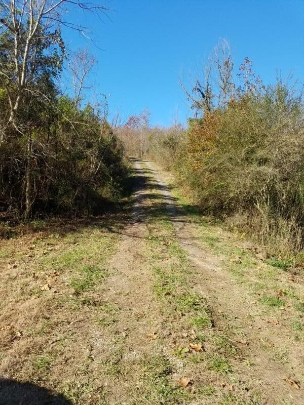 417 Womac Hollow Road Decatur, TN 37322 - Photo 23 of 28