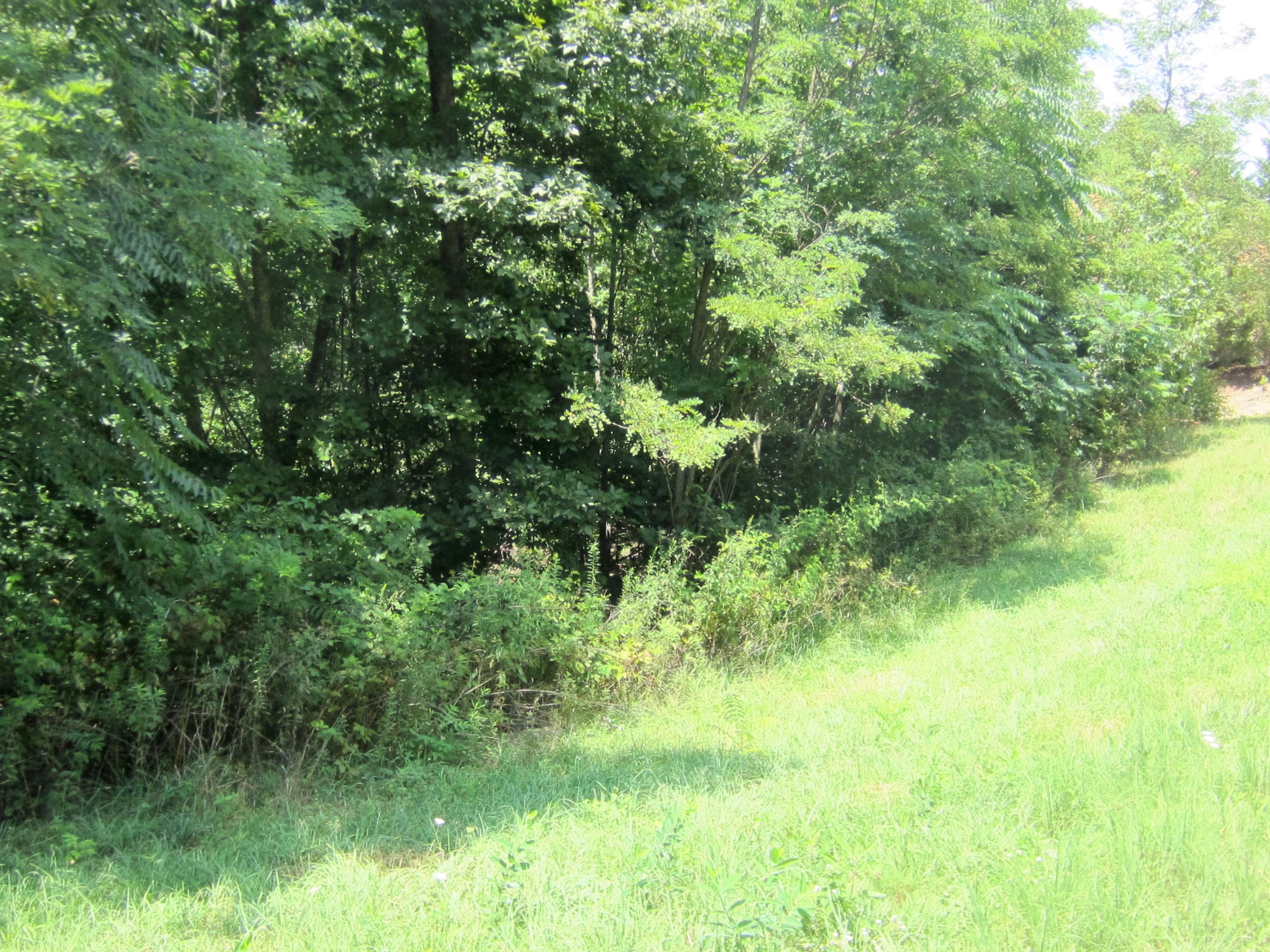 IMG_3144 (2)
