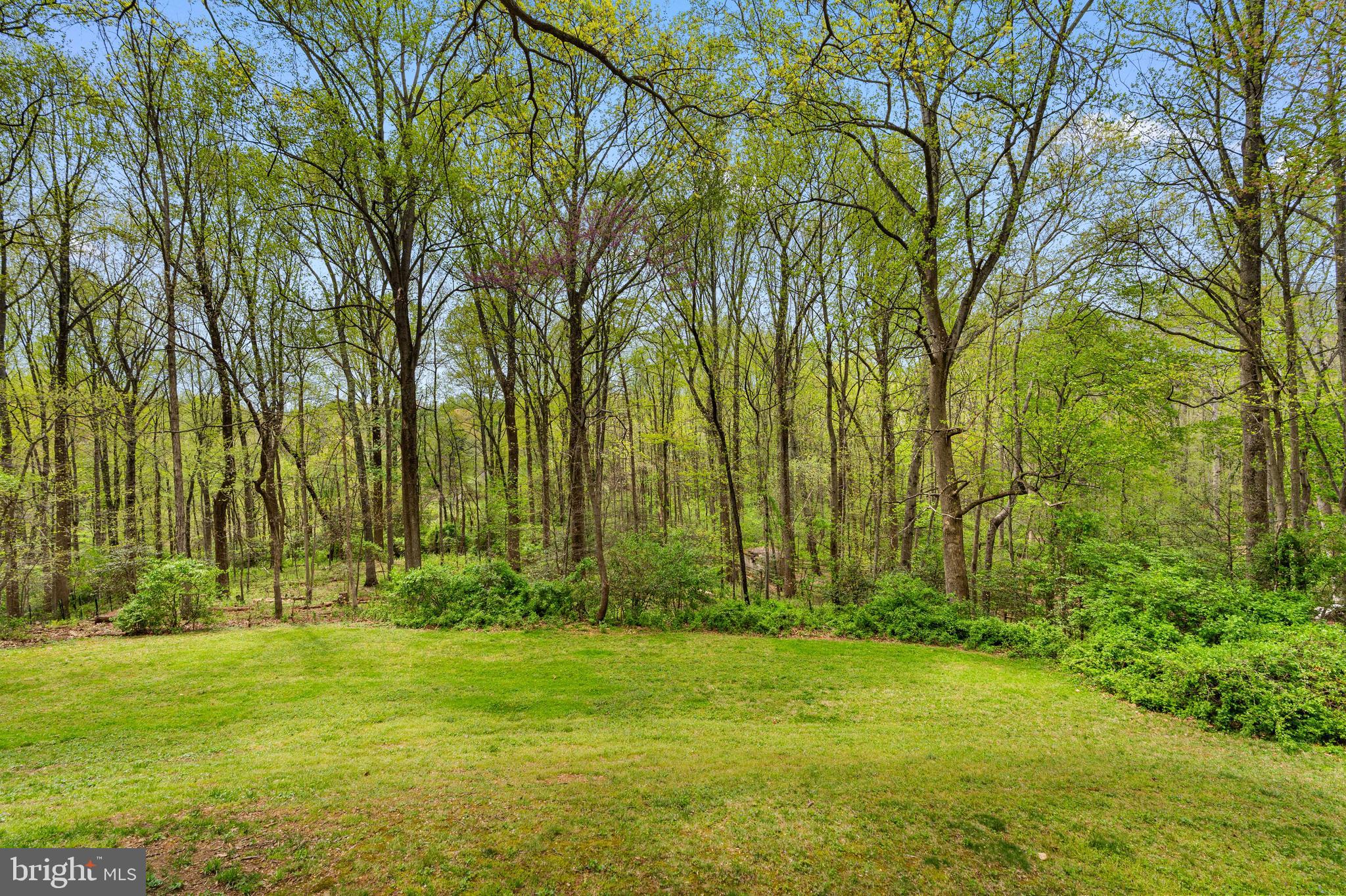 10505 Adel Road Oakton, VA 22124 - Photo 28 of 33