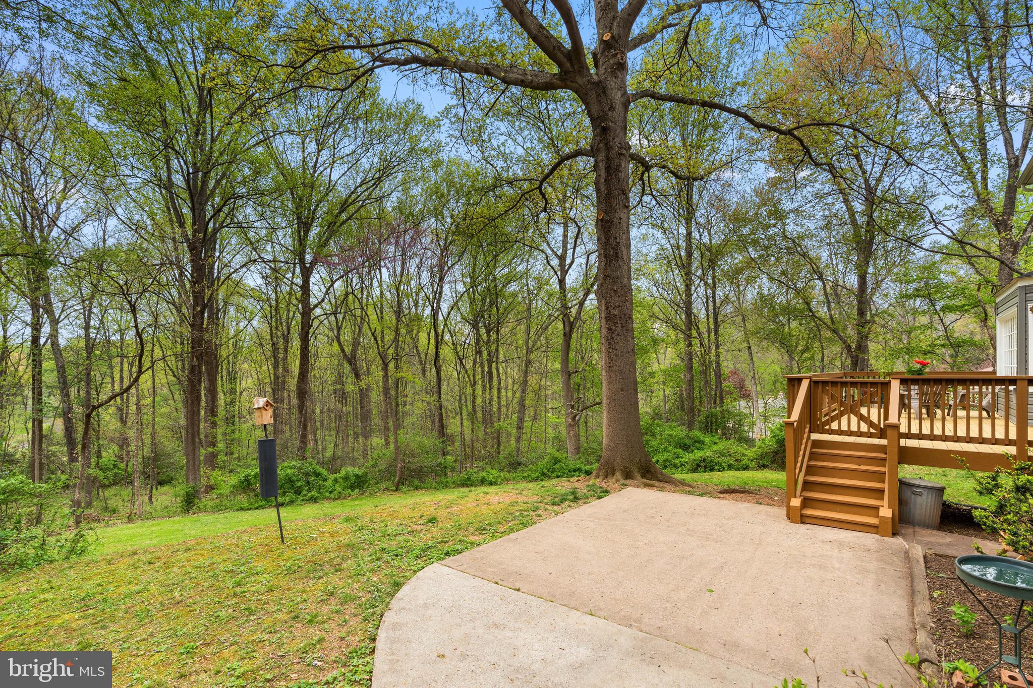 10505 Adel Road Oakton, VA 22124 - Photo 29 of 33