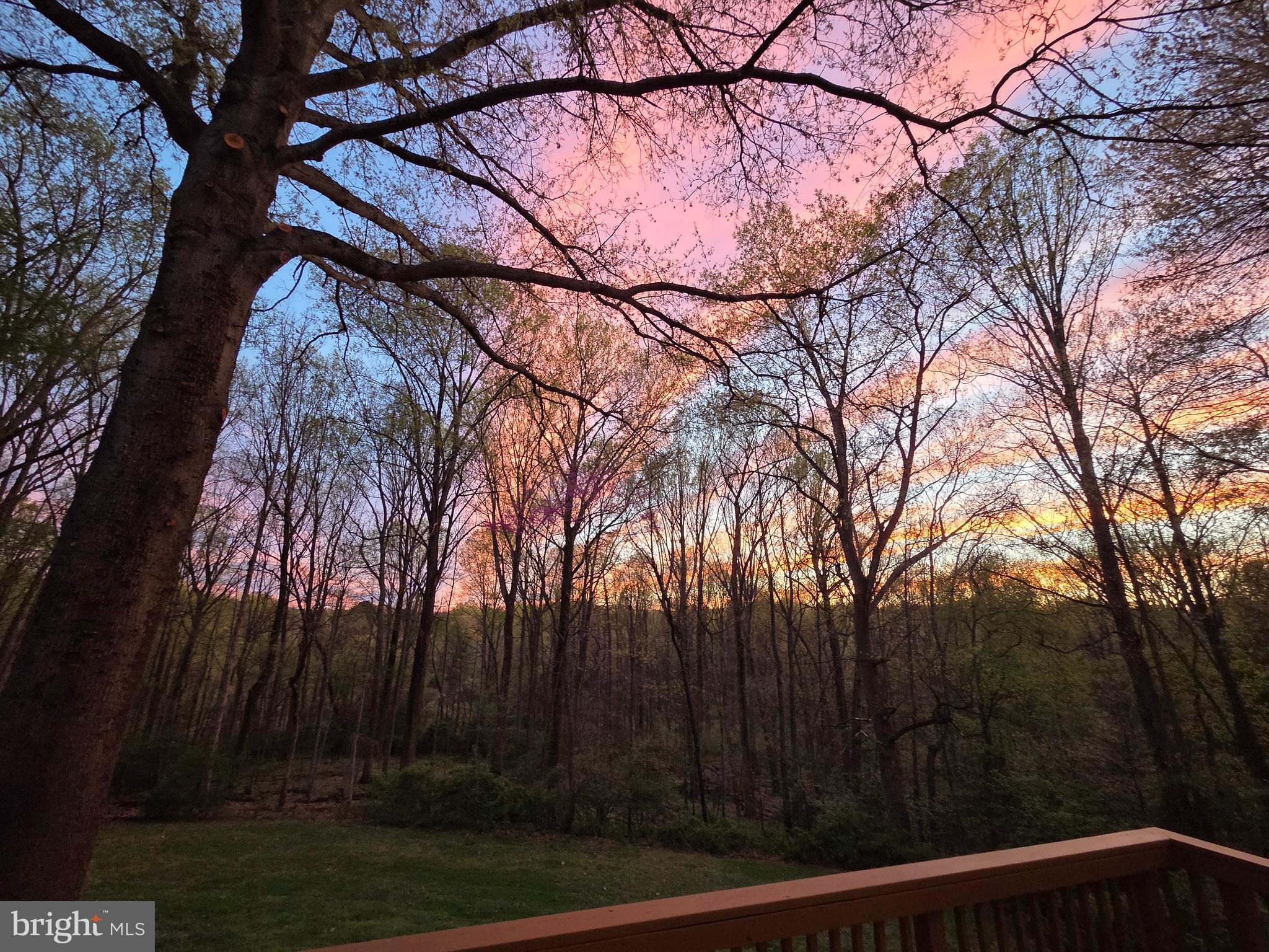 10505 Adel Road Oakton, VA 22124 - Photo 33 of 33