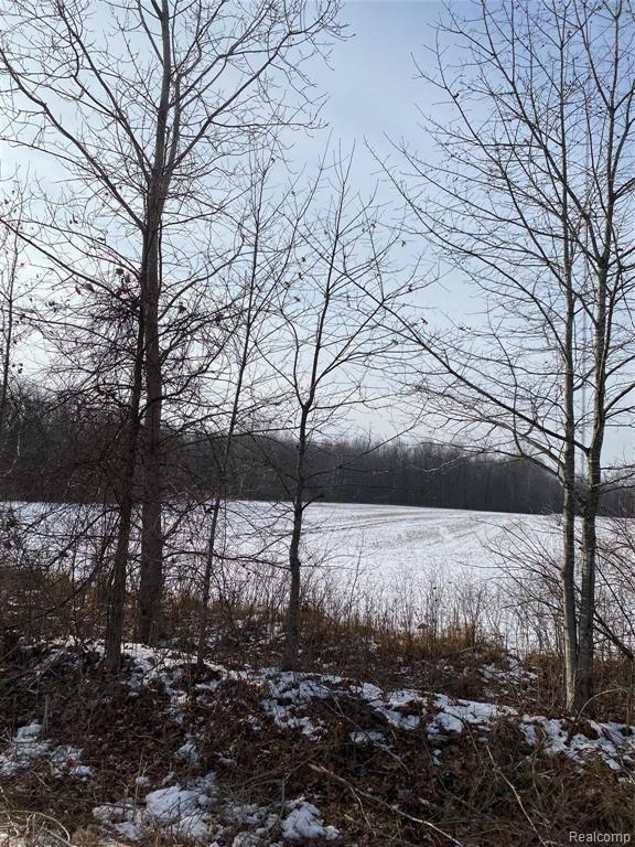 14317 Neff Road Clio, MI 48420 - Photo 5 of 5 Gallery Image 5