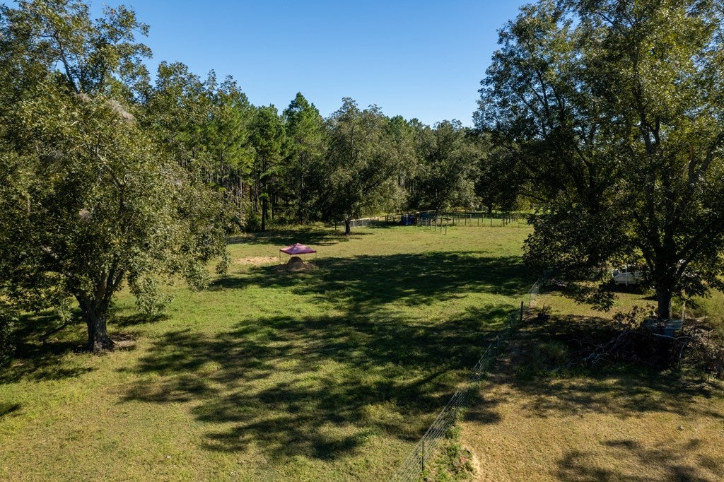 12818 Barwick Road Pavo, GA 31778 - Photo 14 of 35 Gallery Image 14
