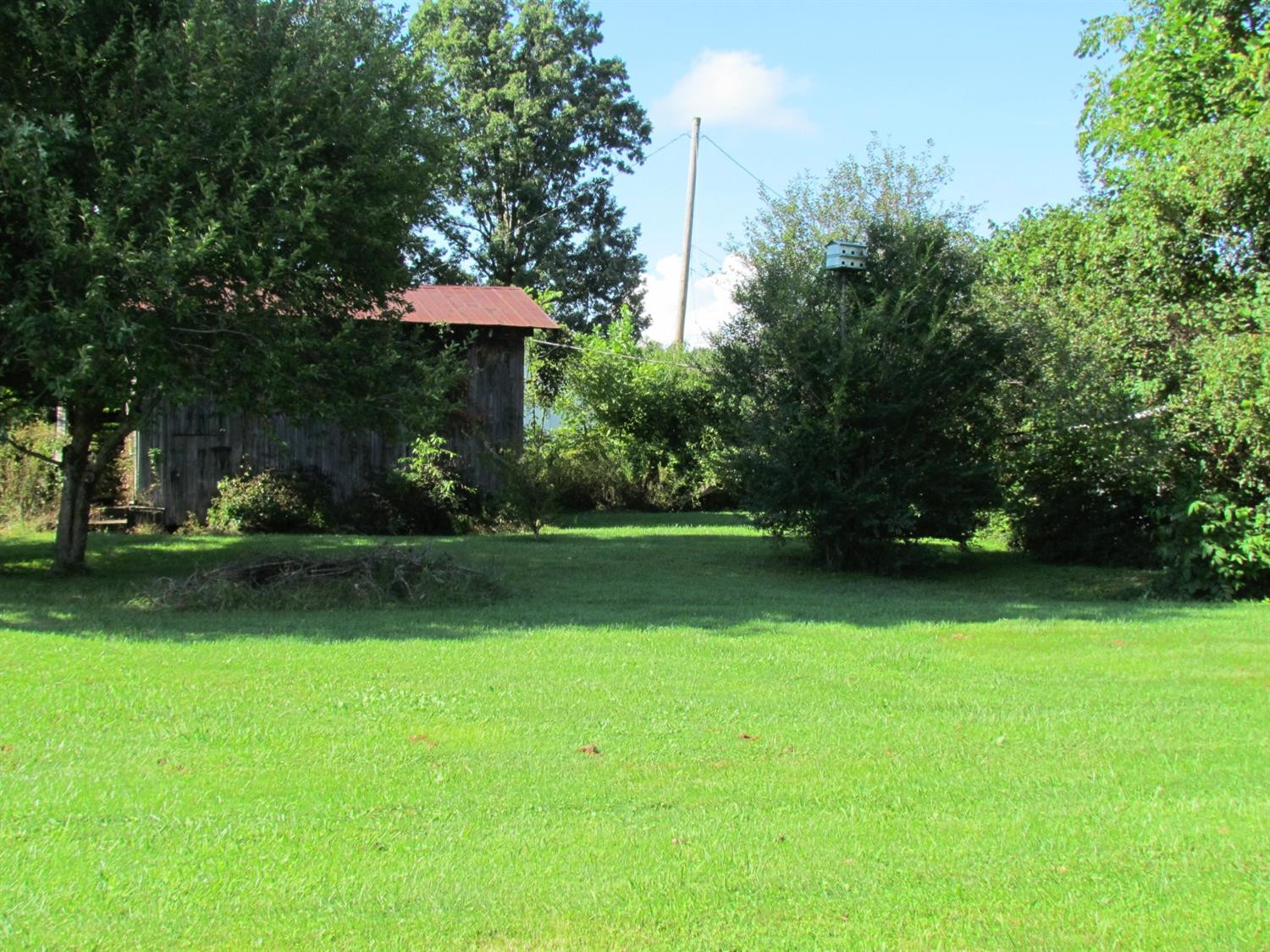 Photo 7