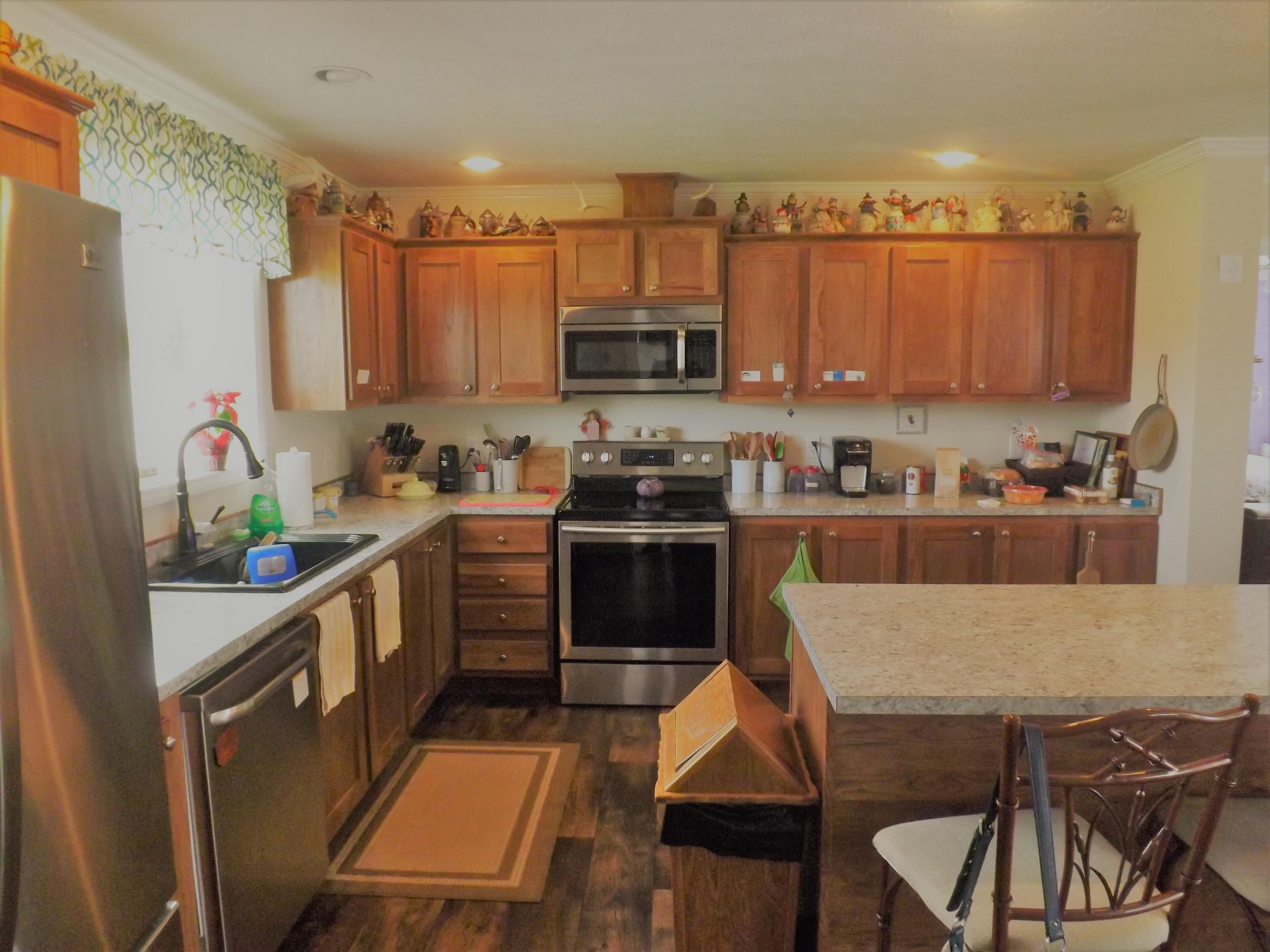 195 Forest Road Mosheim, TN 37818 - Photo 3 of 37 DSCF1840 - Copy