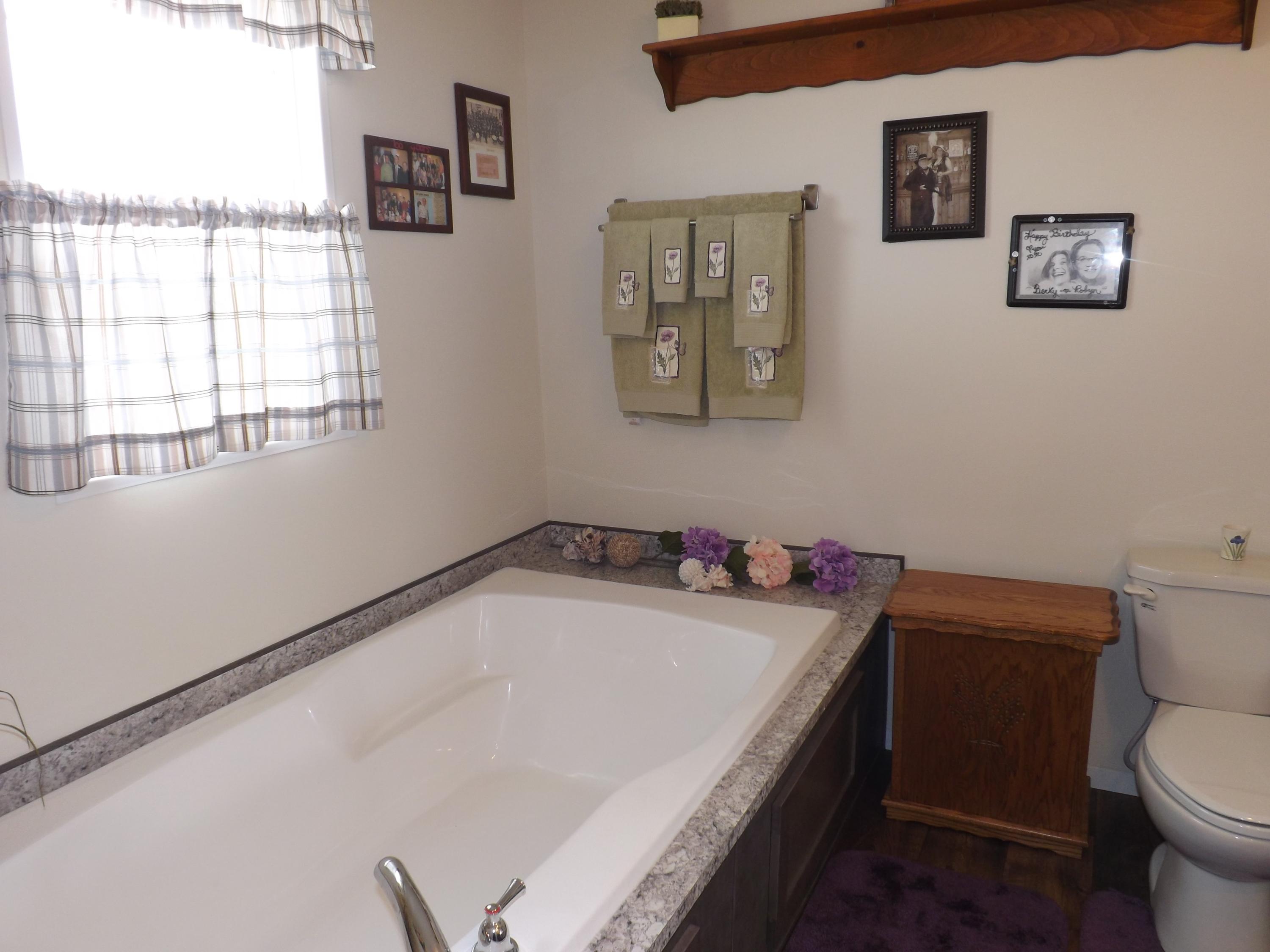 195 Forest Road Mosheim, TN 37818 - Photo 31 of 37 DSCF1864 - Copy