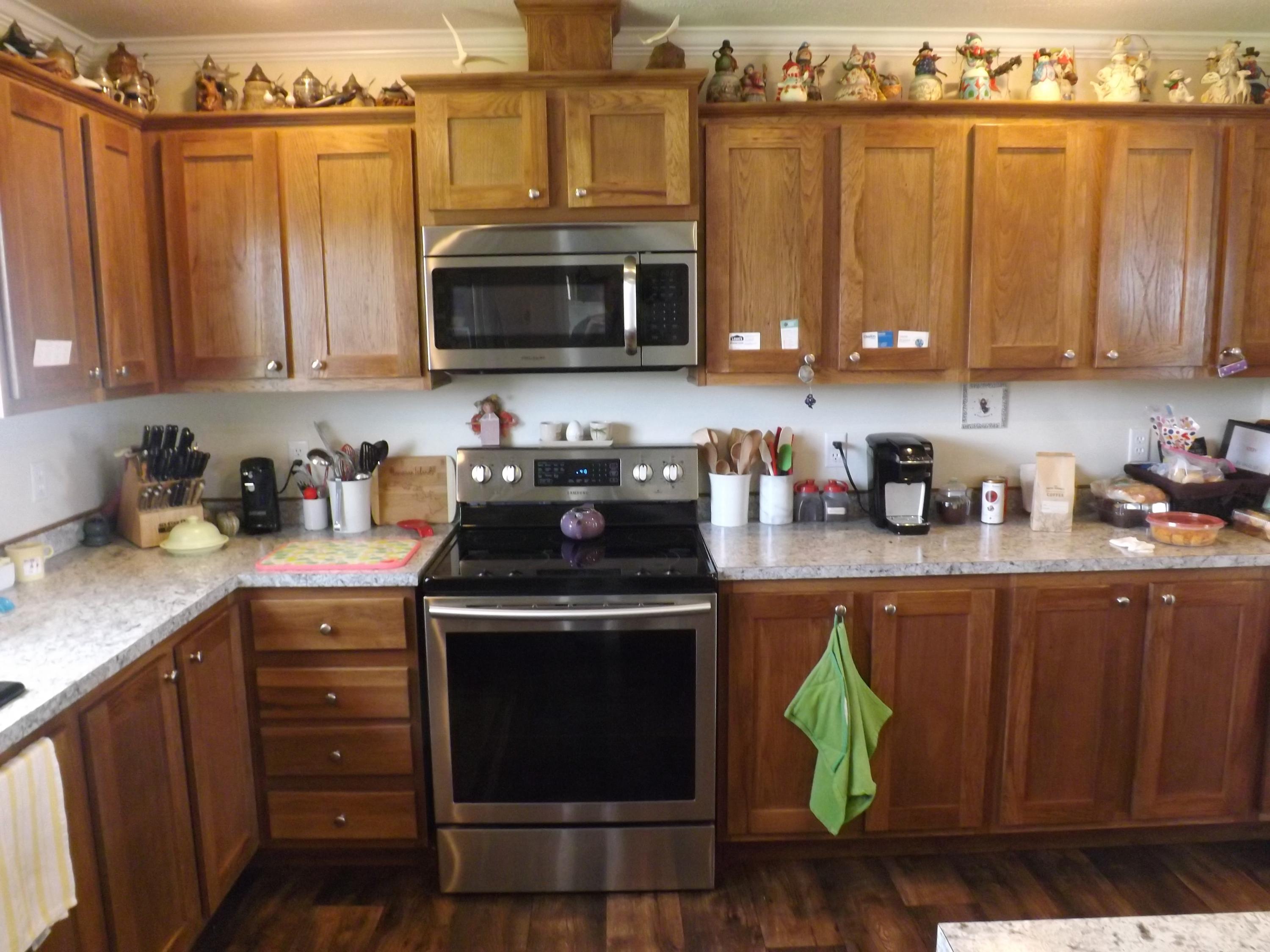 195 Forest Road Mosheim, TN 37818 - Photo 5 of 37 DSCF1841 - Copy - Copy