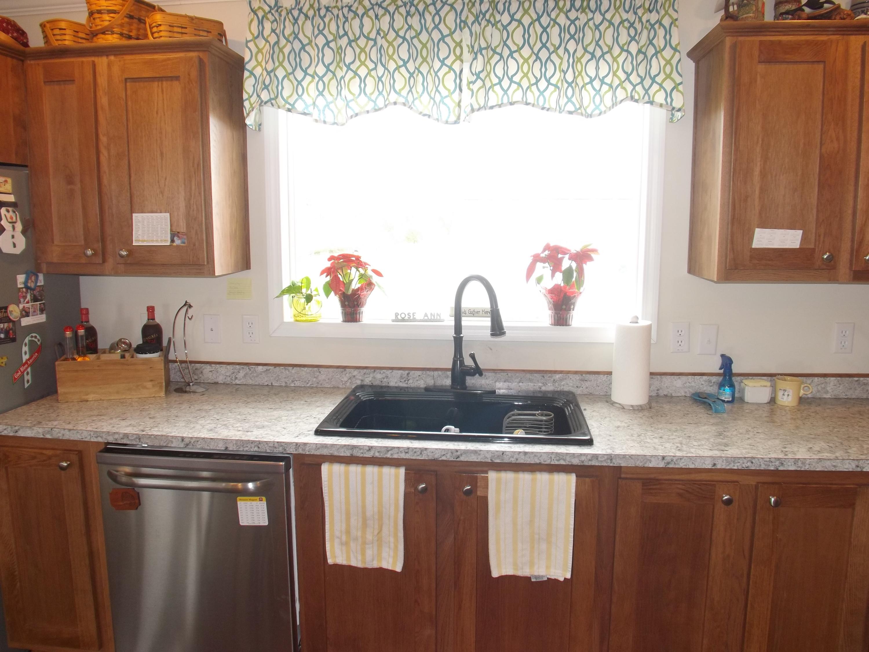 195 Forest Road Mosheim, TN 37818 - Photo 6 of 37 DSCF1843 - Copy (2)