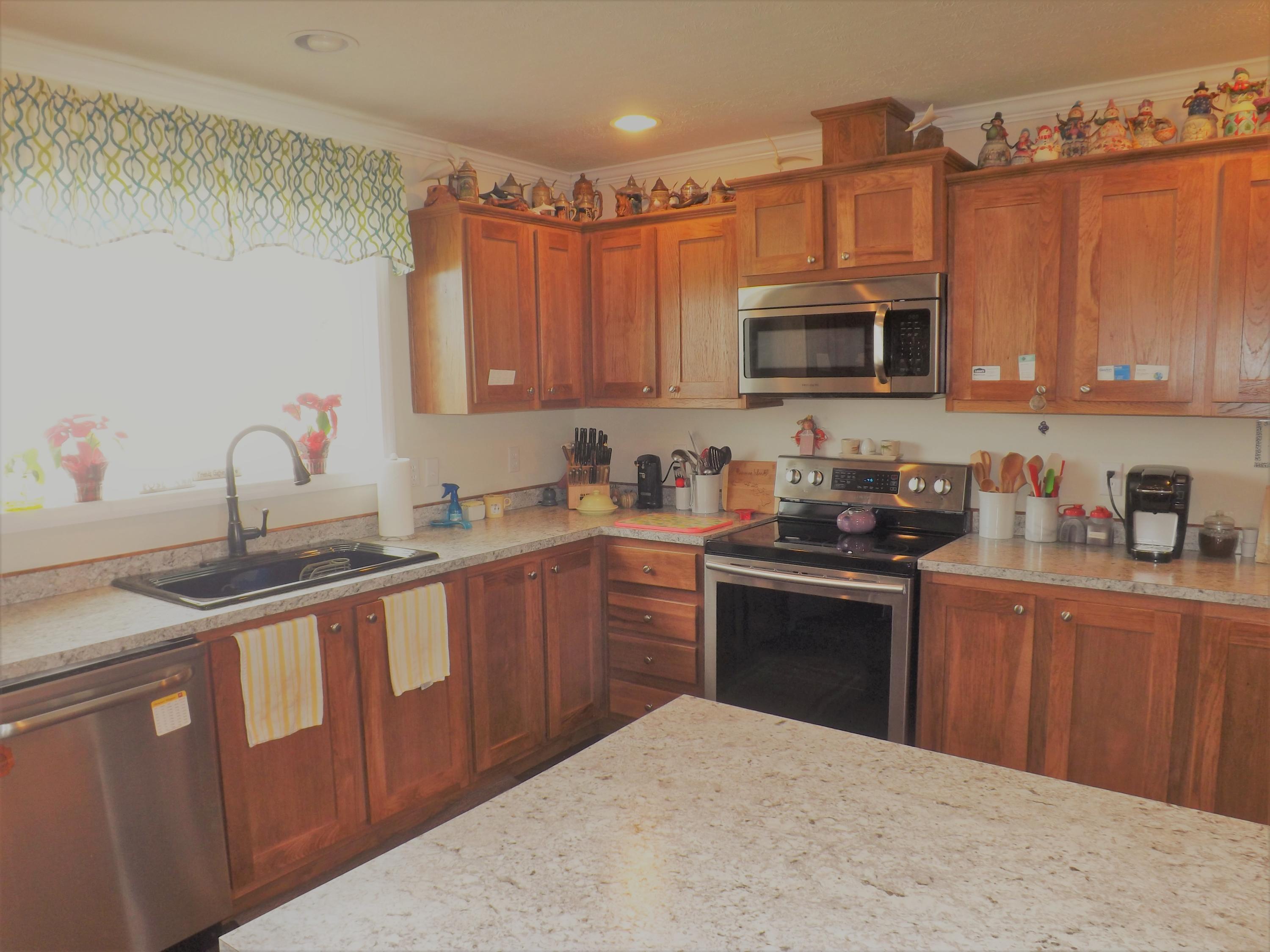195 Forest Road Mosheim, TN 37818 - Photo 10 of 37 DSCF1846 - Copy
