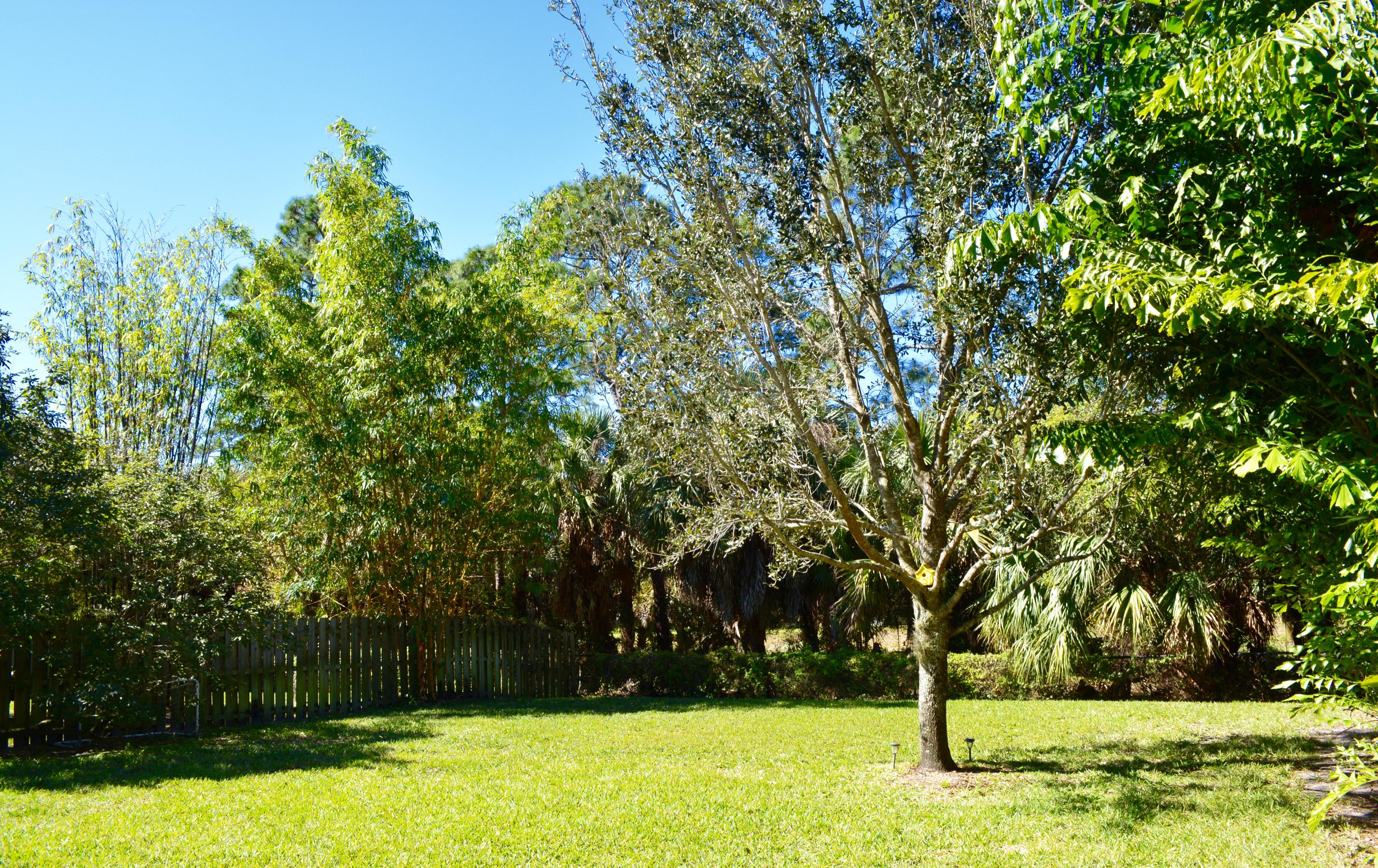 116 Dunmore Drive Jupiter, FL 33458 - Photo 7 of 37 Backyard