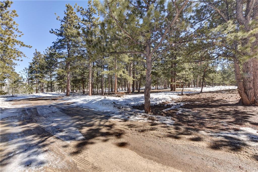 2206 Campfire Road Hartsel, CO 80449 - Photo 34 of 35 a view of outdoor space with trees