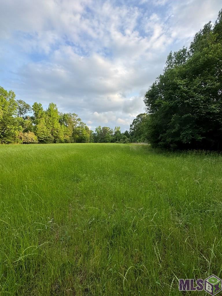 0 Ogden Road Woodville, MS 39669 - Photo 5 of 17 Gallery Image 5
