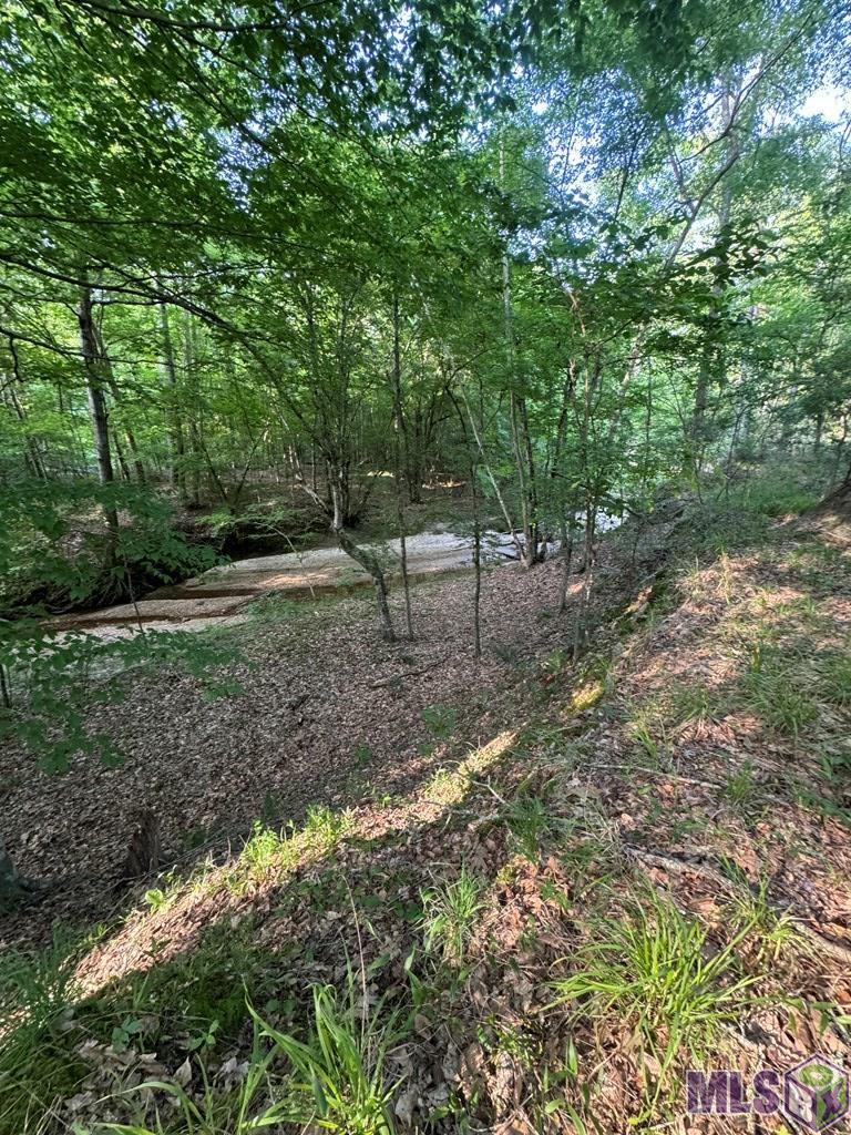 0 Ogden Road Woodville, MS 39669 - Photo 10 of 17 Gallery Image 10