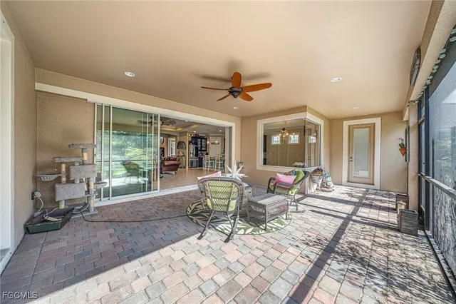 a view of a park with large trees