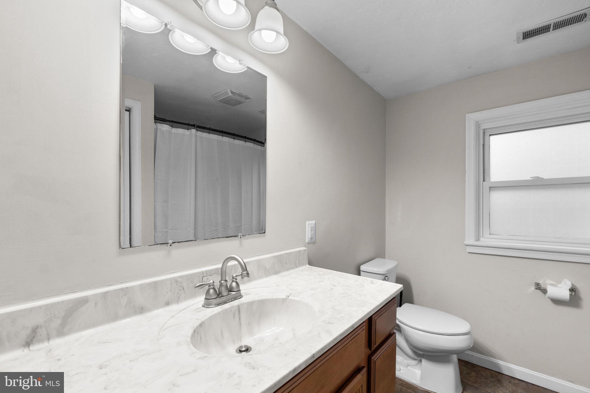 1272 Cherrytown Road Westminster, MD 21158 - Photo 16 of 30 a bathroom with a sink a toilet and a mirror