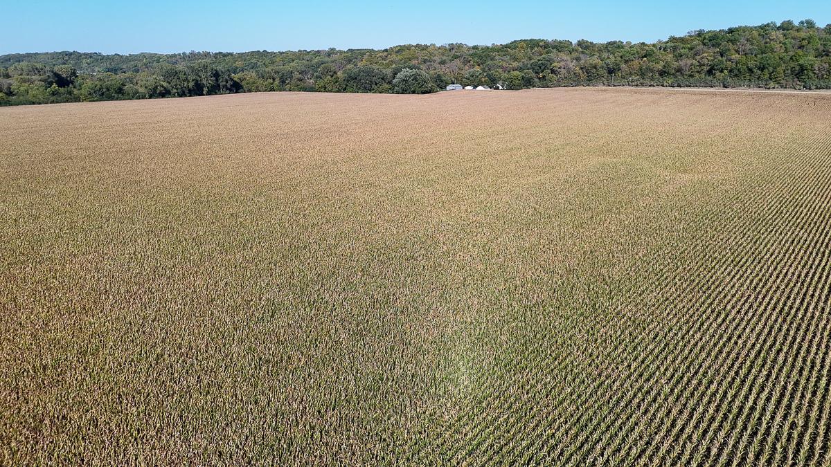 Tbd Lime Valley Road Mankato, MN 56001 - Photo 11 of 25