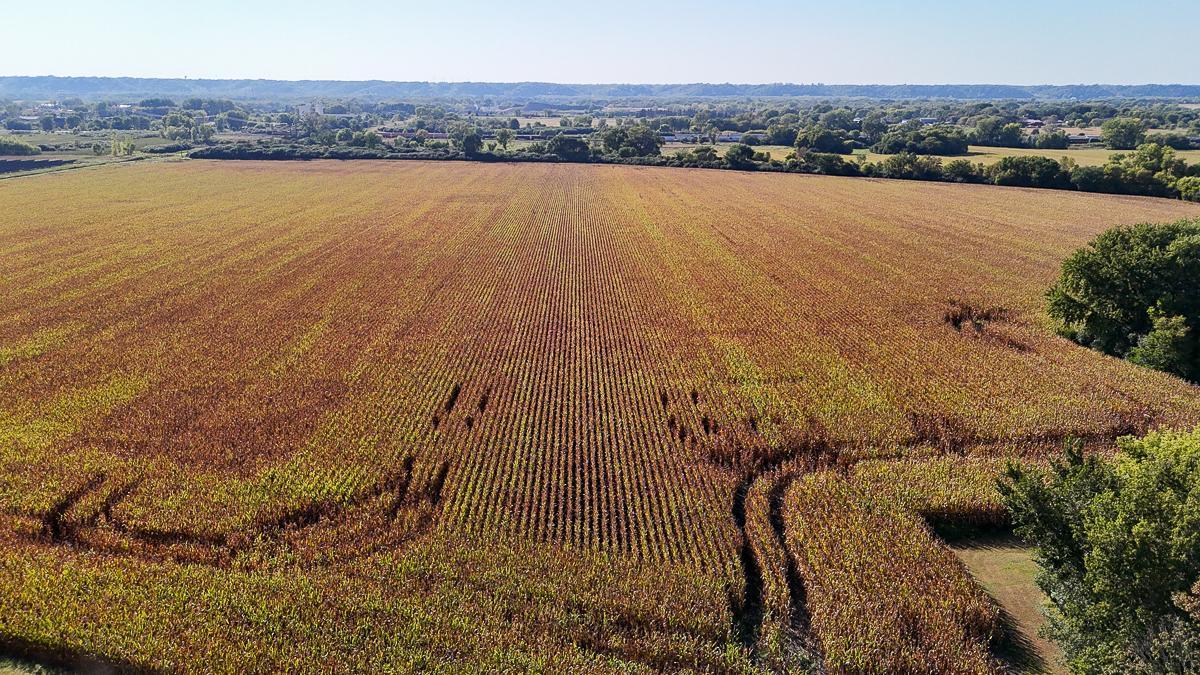 Tbd Lime Valley Road Mankato, MN 56001 - Photo 23 of 25