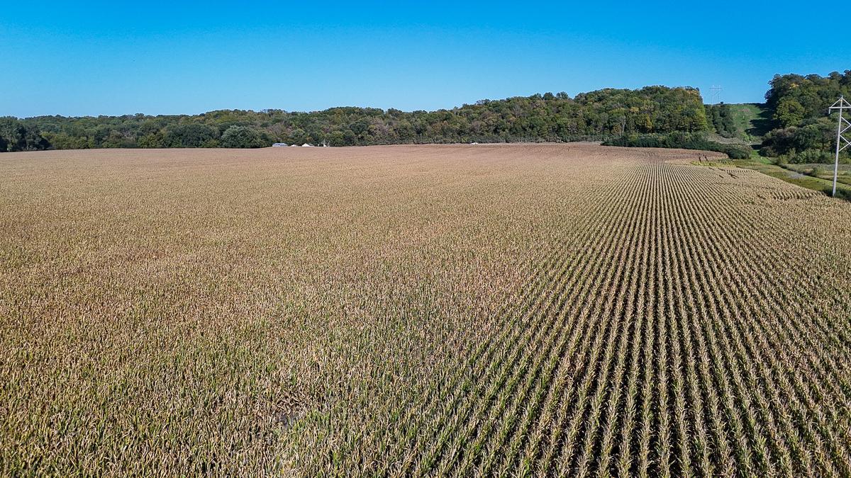 Tbd Lime Valley Road Mankato, MN 56001 - Photo 10 of 25