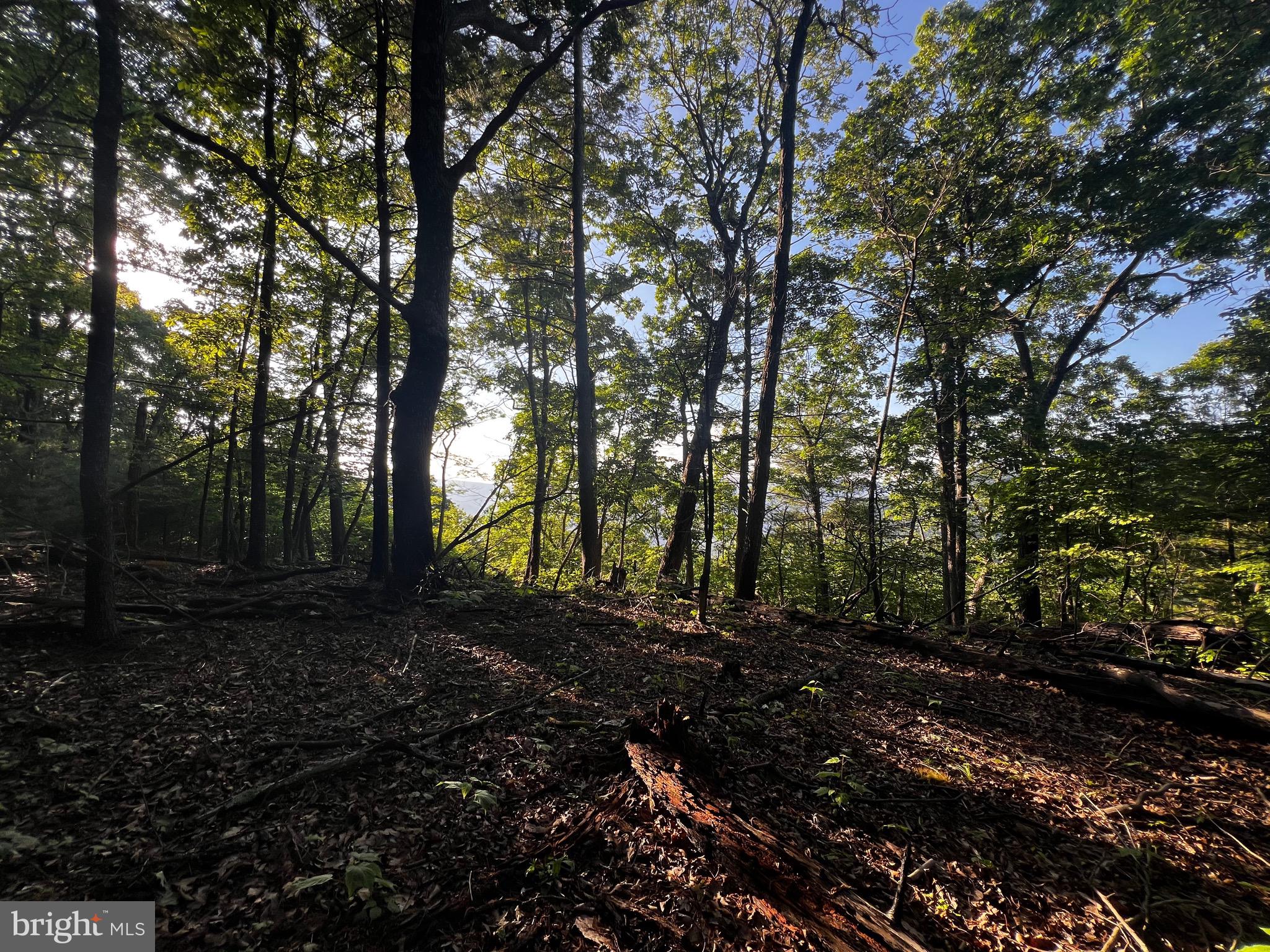 Lot 52 Grace Mountain Mathias, WV 26812 - Photo 12 of 34