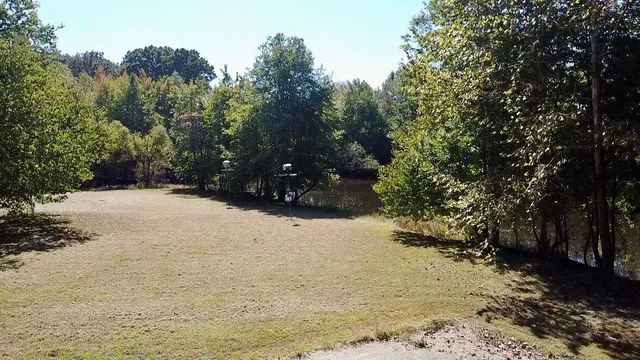 a view of a garden with lawn chairs under an umbrella