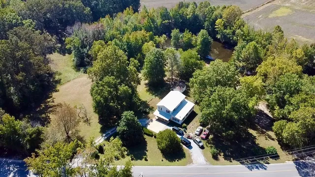 an aerial view of a house with a yard and plants