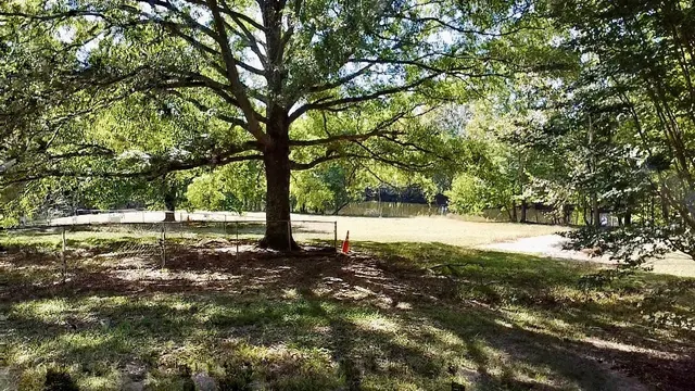 a view of road and snow