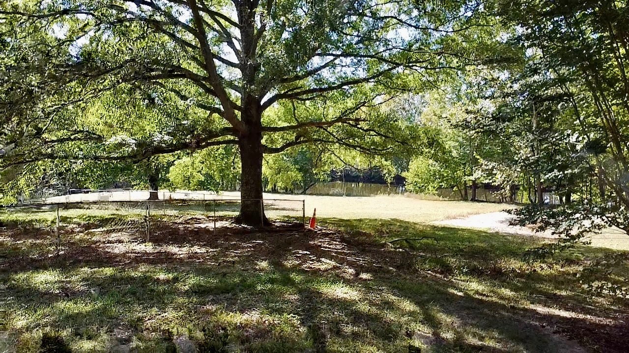 10110 Elkhorn Road Springville, TN 38256 - Photo 45 of 47 Gallery Image 45