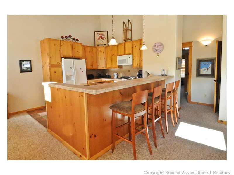 38 Snake River Road, Unit 1 Keystone, CO 80435 - Photo 3 of 12 Gallery Image 3