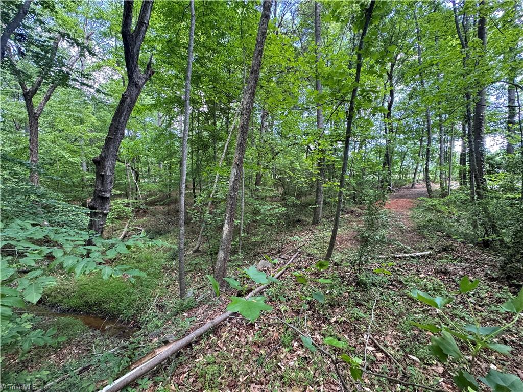 5504 Folkstone Road Pfafftown, NC 27040 - Photo 11 of 12 View from wooded area