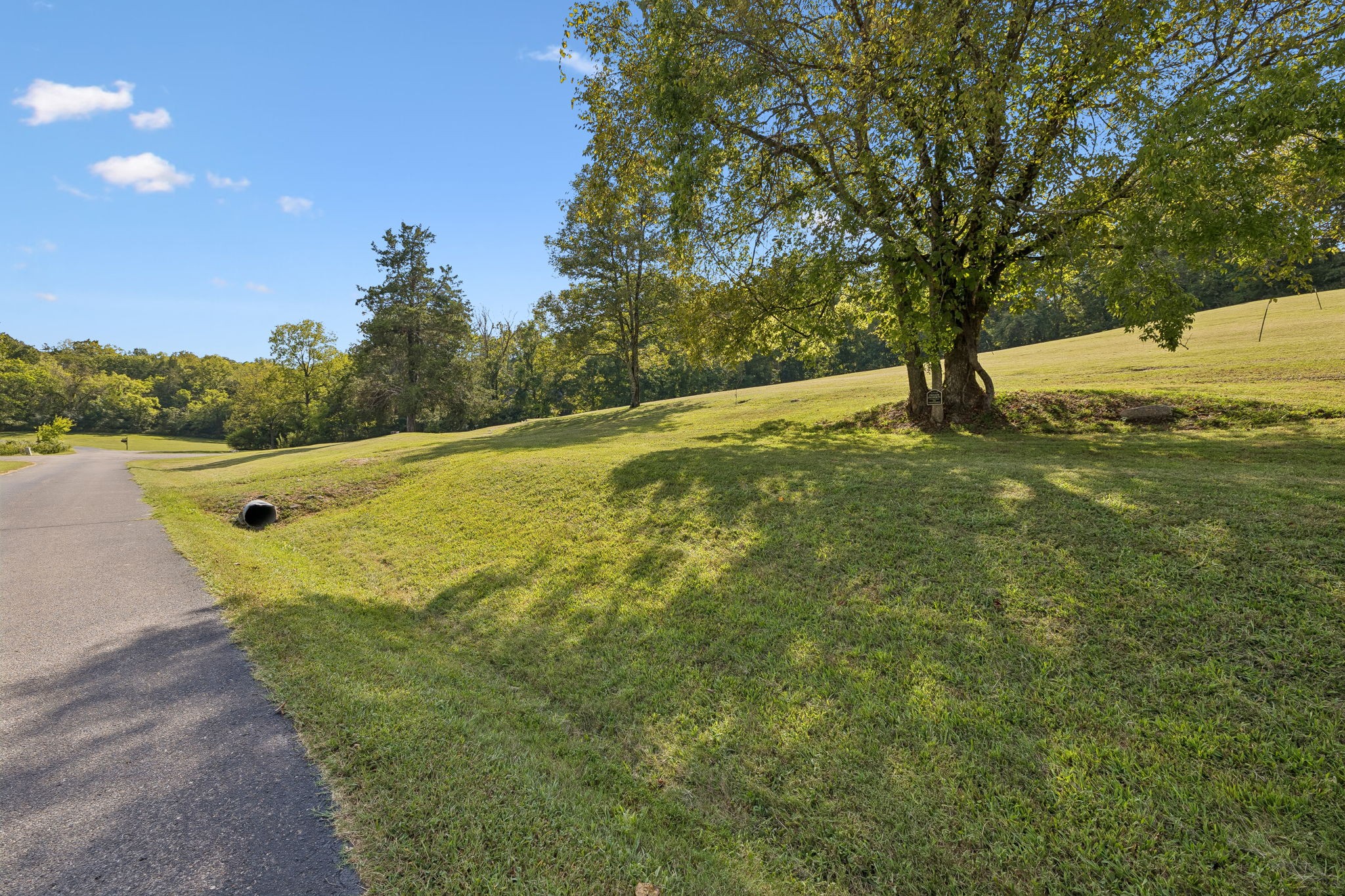 110 Hidden Valley Road Arrington, TN 37014 - Photo 11 of 24 Gallery Image 11