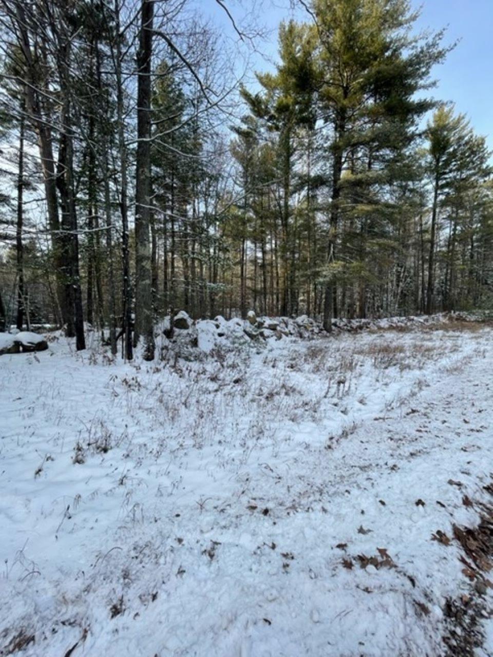 2-lots Coon Lk Road Rhinelander, WI 54501 - Photo 3 of 9 Gallery Image 3