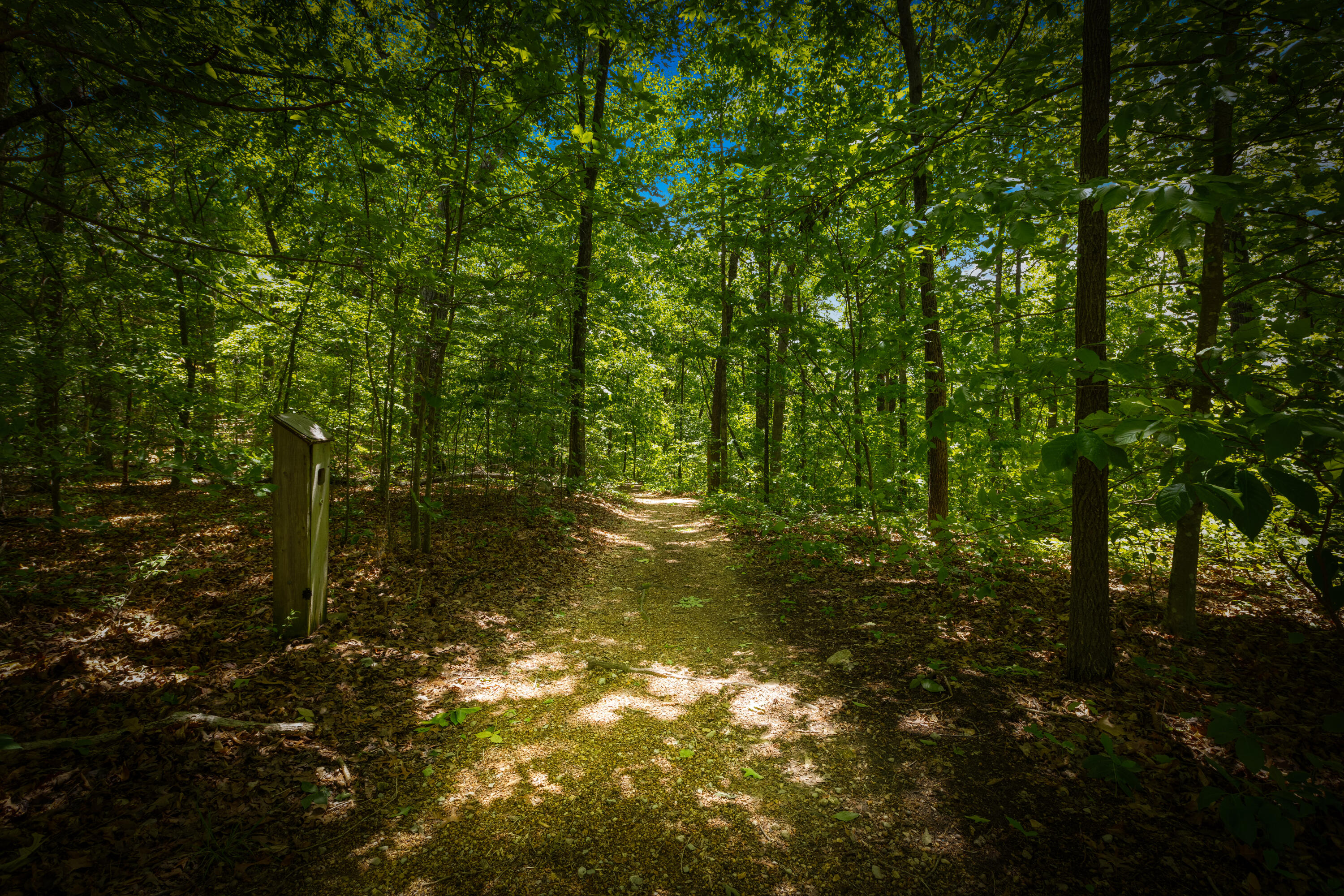 2215 Saunders Road Ringgold, GA 30736 - Photo 26 of 27 Elsie Holmes Nature Park