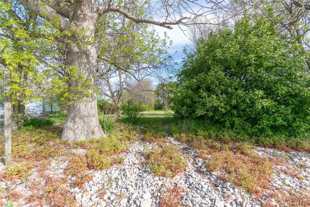 20452 South Shore Road Lyme, NY 13693 - Photo 40 of 42