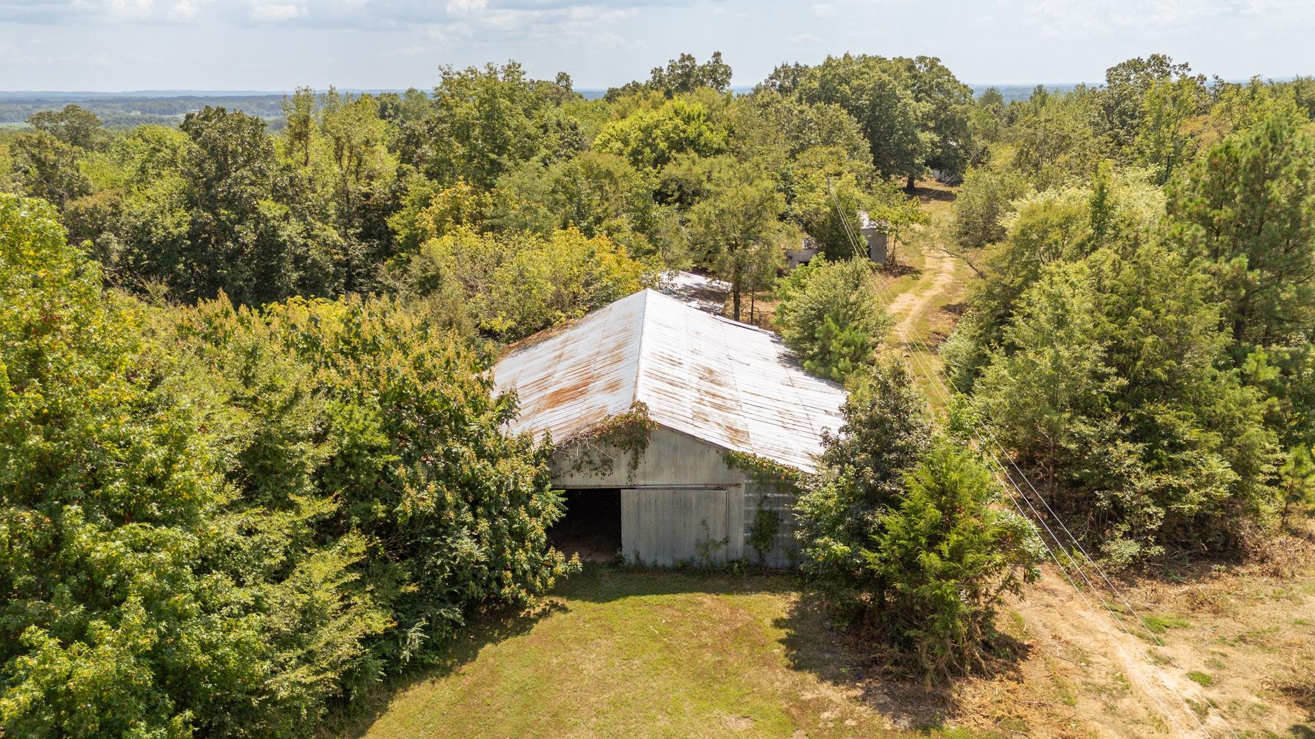 6800 Glendale Road Morris Chapel, TN 38361 - Photo 38 of 40 a picture of trees