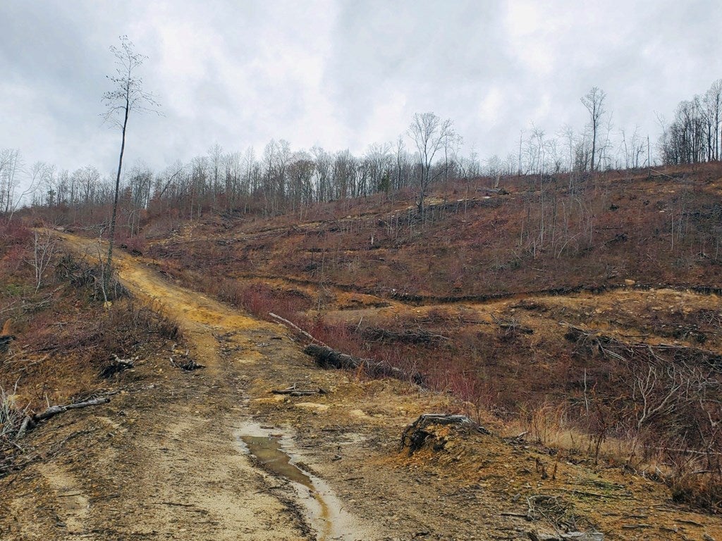 Tbd Gravel Lick Road Cleveland, VA 24225 - Photo 19 of 32 Gallery Image 19