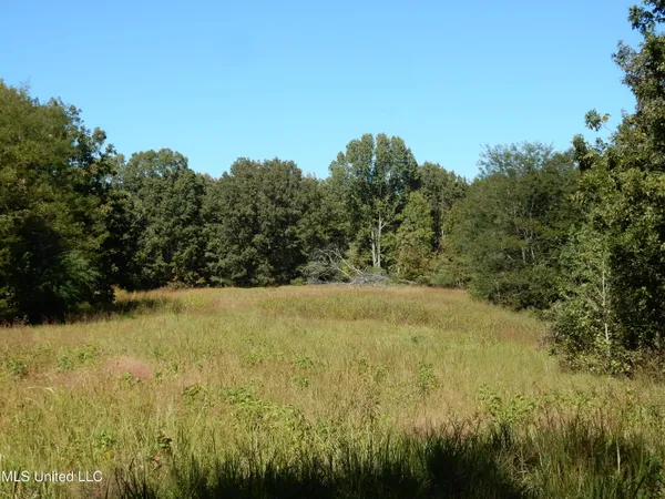 $79,500 | Lot 6 North Crockett Road, Senatobia, MS 38668