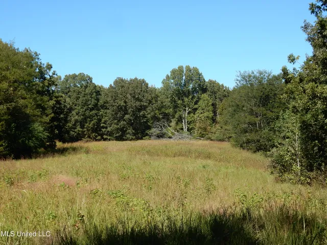 $79,500 | Lot 6 North Crockett Road, Senatobia, MS 38668