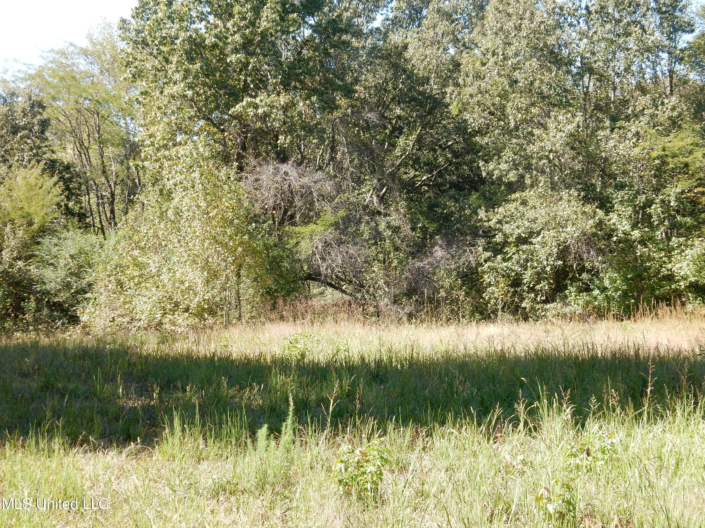 Lot 6 North Crockett Road Senatobia, MS 38668 - Photo 2 of 3 DSCN3177