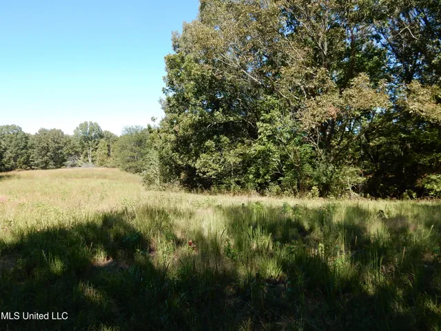 $79,500 | Lot 6 North Crockett Road, Senatobia, MS 38668