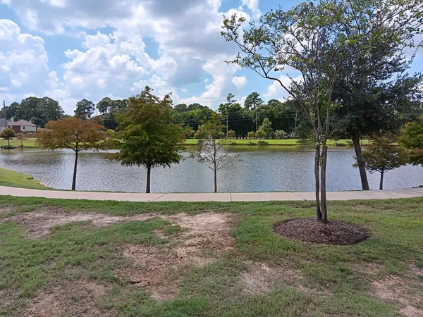 a backyard of a house with lots of green space