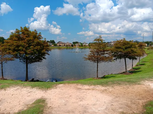 a view of a backyard