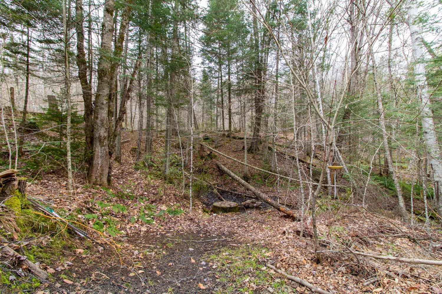 350 Sargent's Road Sutton, VT 05871 - Photo 26 of 39 Gallery Image 26