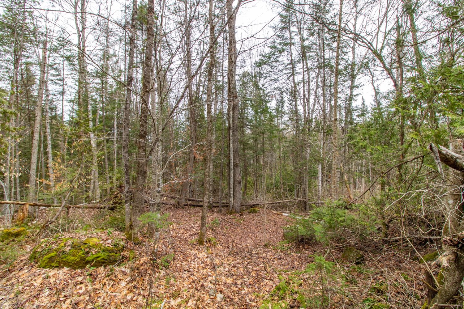 350 Sargent's Road Sutton, VT 05871 - Photo 27 of 39 Gallery Image 27
